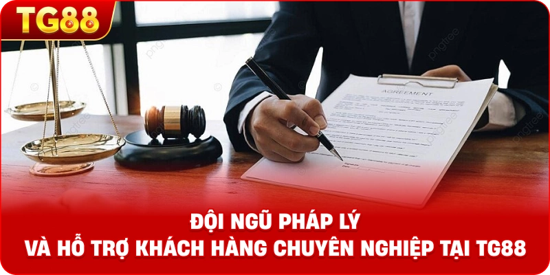 Đội ngũ pháp lý và hỗ trợ khách hàng chuyên nghiệp tại TG88